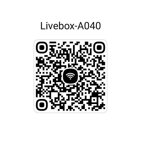 Chez Virginie * Λούρδη